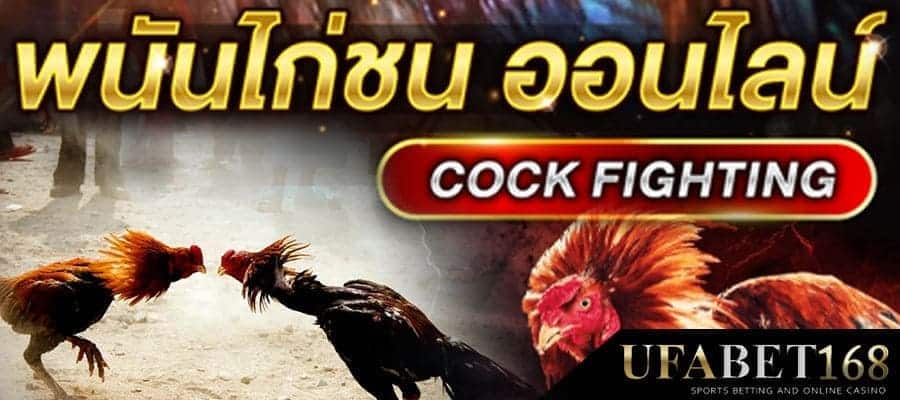 พนันไก่ชน