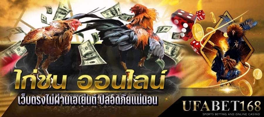 แทงไก่ชน