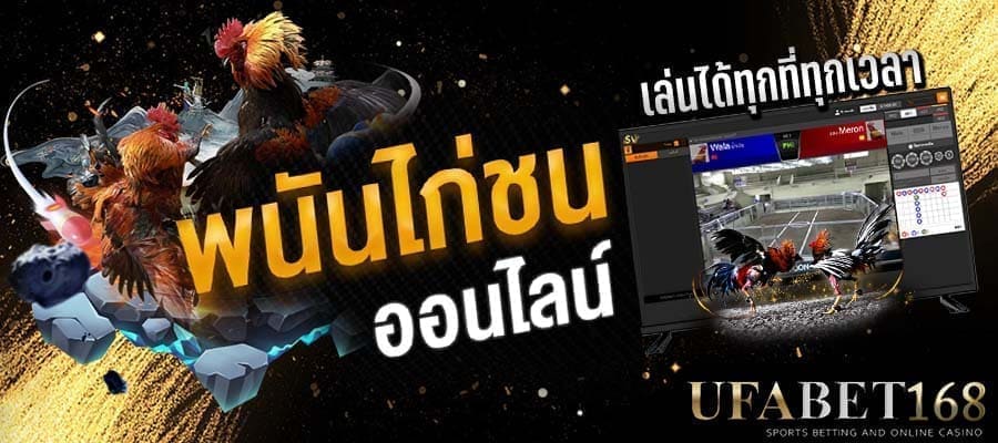 แทงไก่ชน