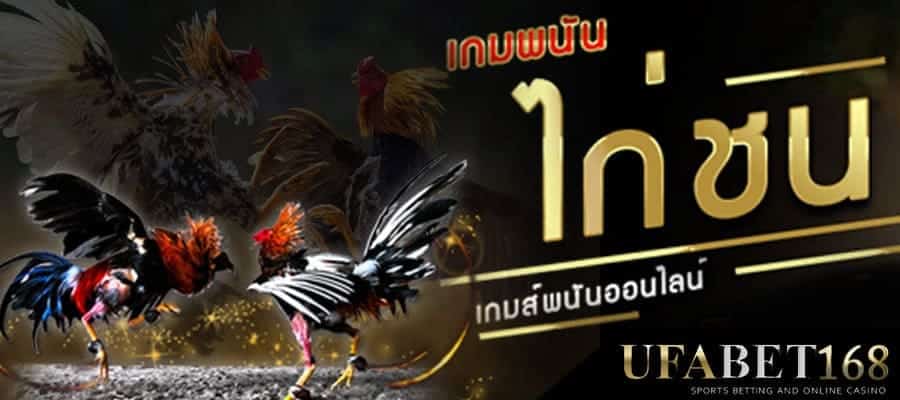 ไก่ชน