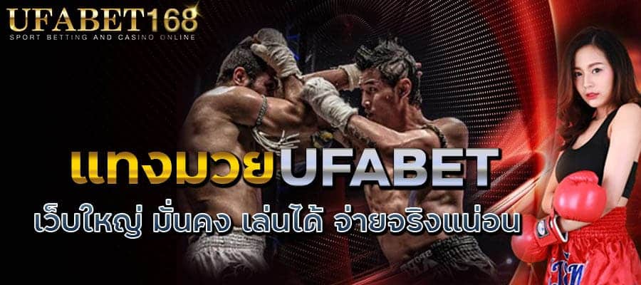 มวยพักยกเล่นยังไง